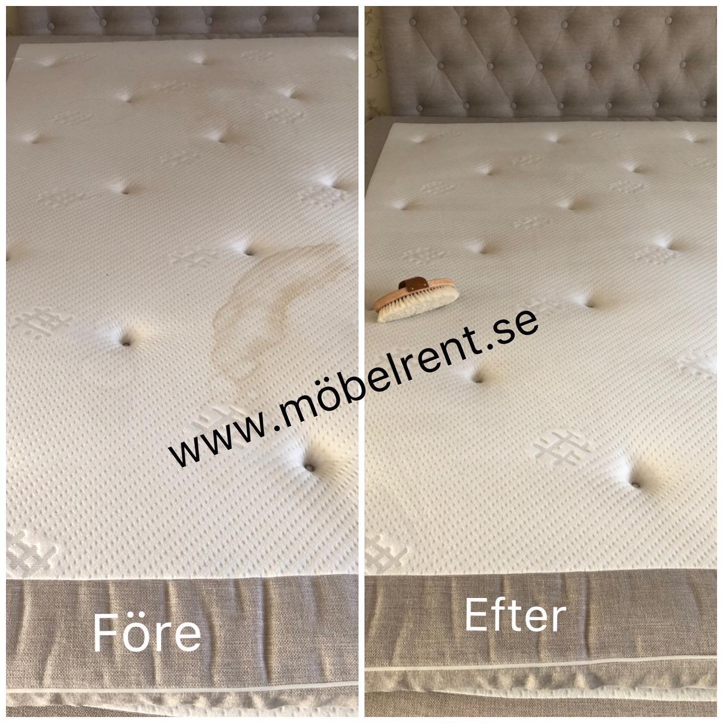 130476938_4022644857770019_8022204922773858365_o