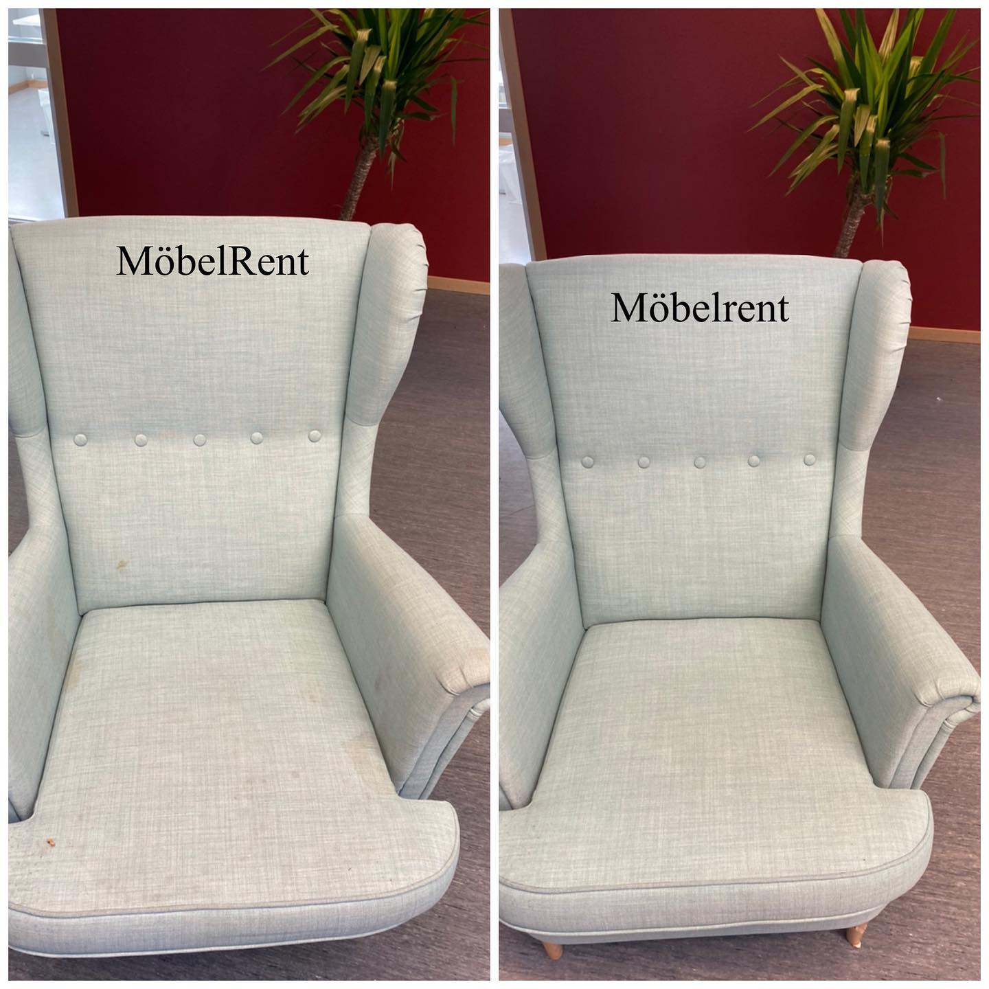 149351282_4188880471146456_3231529134803929071_o